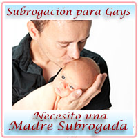 necesitamos-una-madre-subrogada-padres-futuros-gay